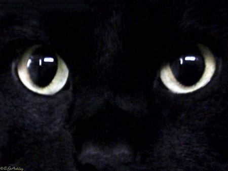 Pass�, pr�sent, futur ........